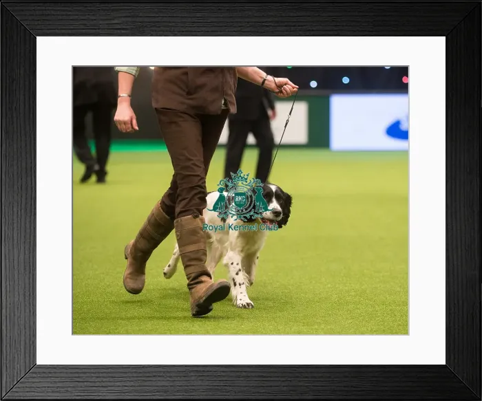 Framed Print : Gamekeepers Competition Final Winner Framed Print : Gamekeepers Competition Final Winner