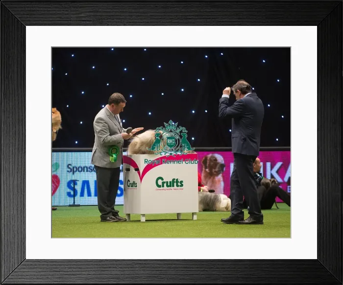 Framed Print : Best in Group
