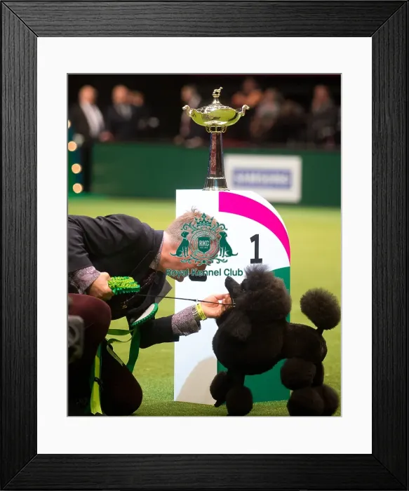 Framed Print : Utility Group winner Framed Print : Utility Group winner