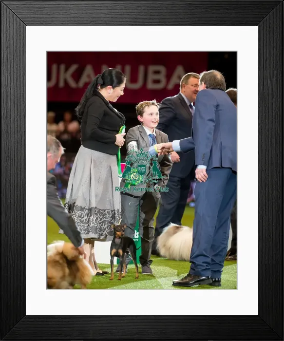 Framed Print : Best in Group Toy Framed Print : Best in Group Toy