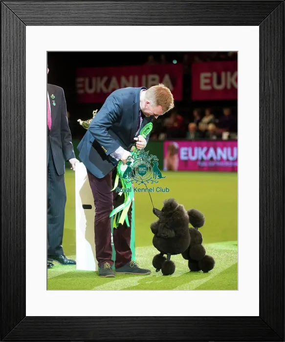 Framed Print : Utility Group winner