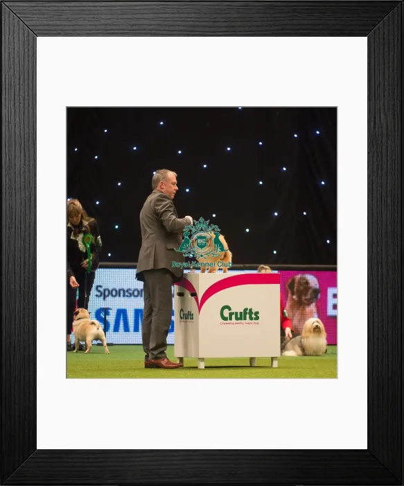 Framed Print : Crufts 2015 Framed Print : Crufts 2015