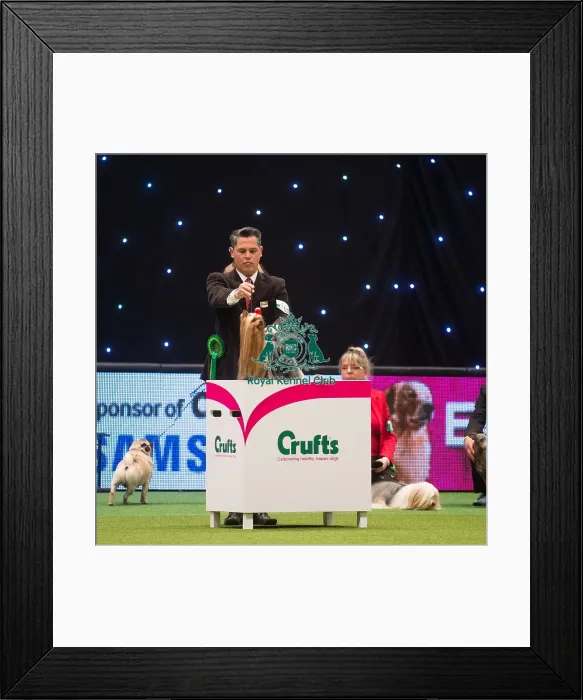 Framed Print : Best in Group Winner Framed Print : Best in Group Winner