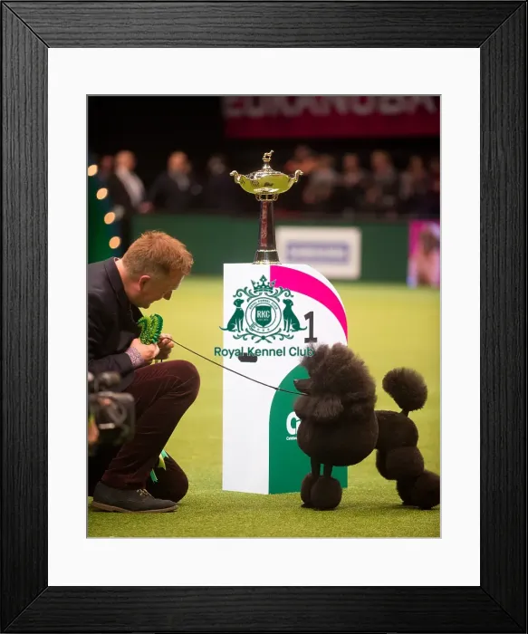 Framed Print : Utility Group winner Framed Print : Utility Group winner