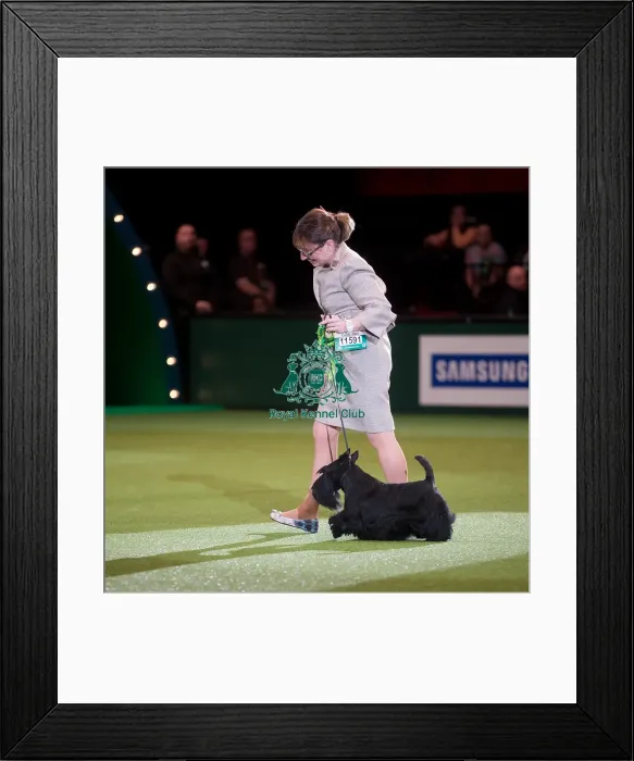 Framed Print : Bis Rus  /  Blr  /  Ukr  /  Cro  /  Lit  /  Lat,  /  Est  /  Balt  /  Slo  /  Pl  /  Am Ch McVans to Russia with Love