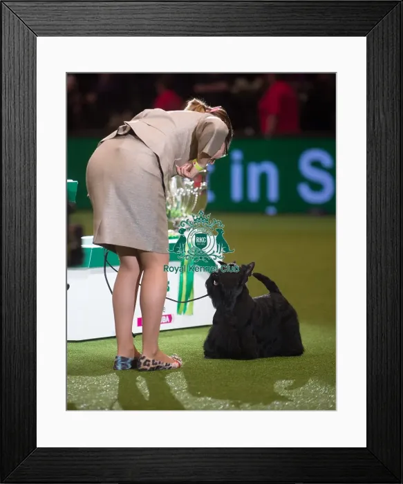 Framed Print : Bis Rus  /  Blr  /  Ukr  /  Cro  /  Lit  /  Lat,  /  Est  /  Balt  /  Slo  /  Pl  /  Am Ch McVans to Russia with Love