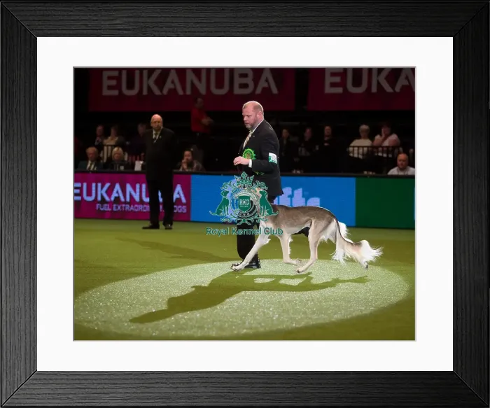 Framed Print : Se  /  No  /  Fi Ch Qirmizi Ovation Fiw-13 Nordw-13 Now-14 Nordw-14 Aw-14 [Atc As00401Swe]
