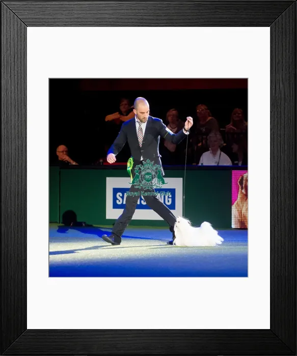 Framed Print : It  /  Gre  /  Rom  /  Fi  /  Spa  /  Port Ch Cinecitta Sasha Baron Colen [Atc Ar02698Ita]