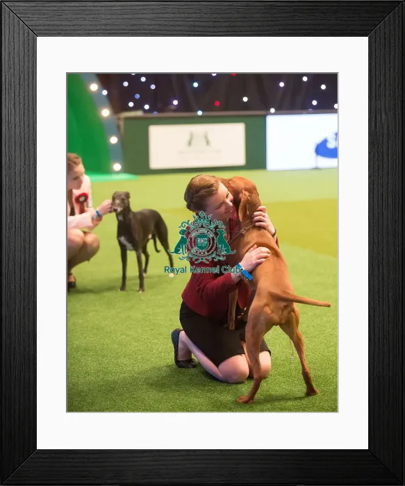 Framed Print : Crufts 2015 Framed Print : Crufts 2015