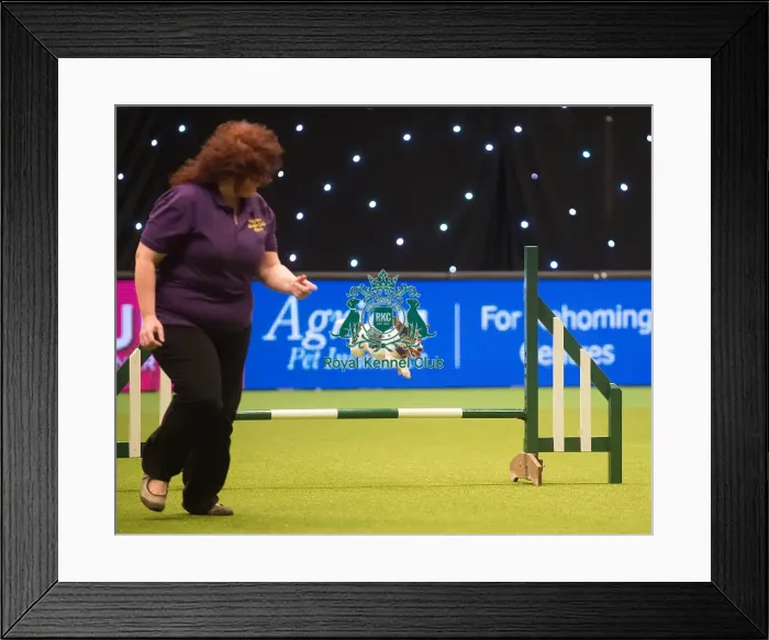 Framed Print : Crufts 2015 Framed Print : Crufts 2015