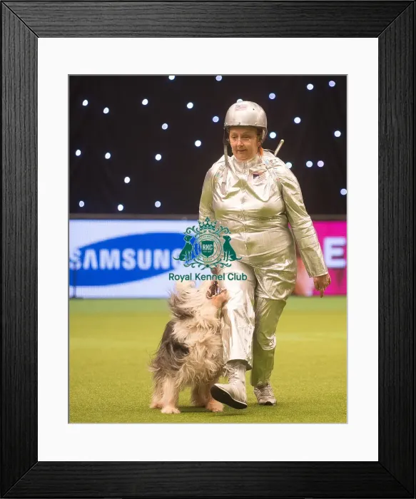 Framed Print : Crufts 2015 Framed Print : Crufts 2015