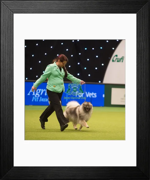 Framed Print : Crufts 2015 Framed Print : Crufts 2015