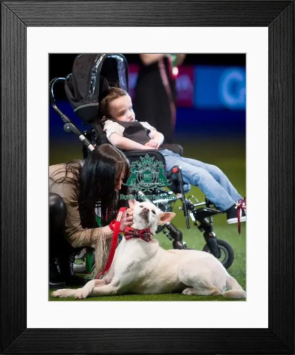 Framed Print : winner