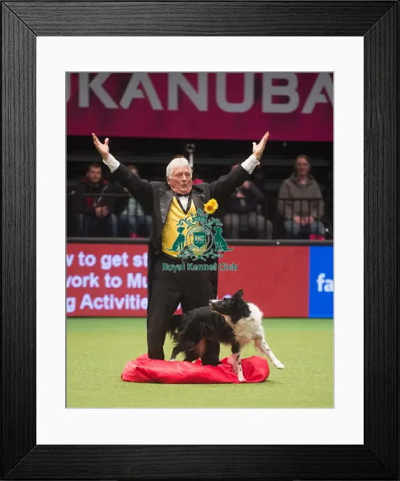 Framed Print : Crufts 2015 Framed Print : Crufts 2015