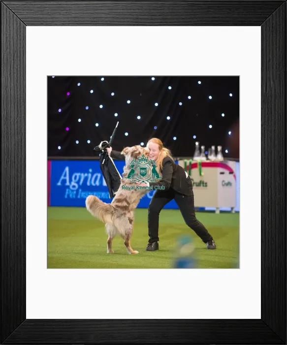 Framed Print : Crufts 2015