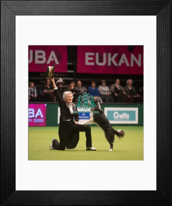 Framed Print : Crufts 2015