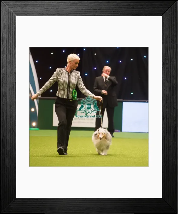 Framed Print : Crufts 2015