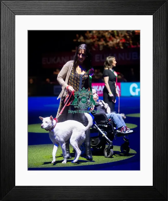 Framed Print : winner