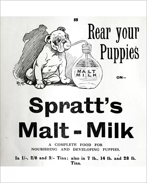 1910 Spratts Malt Milk advert
