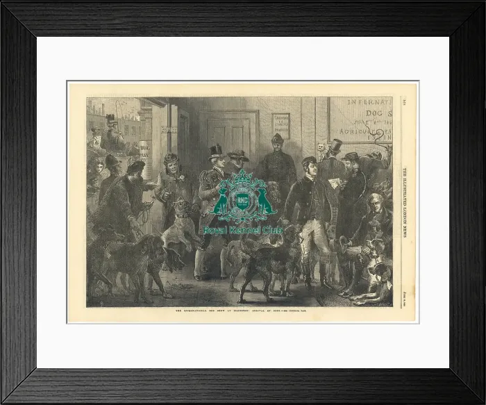 Framed Print : International Dog Show at Islington 1865