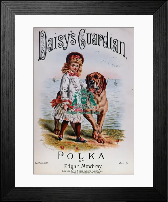 Framed Print : Daisys Guardian Polka Sheet Music Framed Print : Daisys Guardian Polka Sheet Music