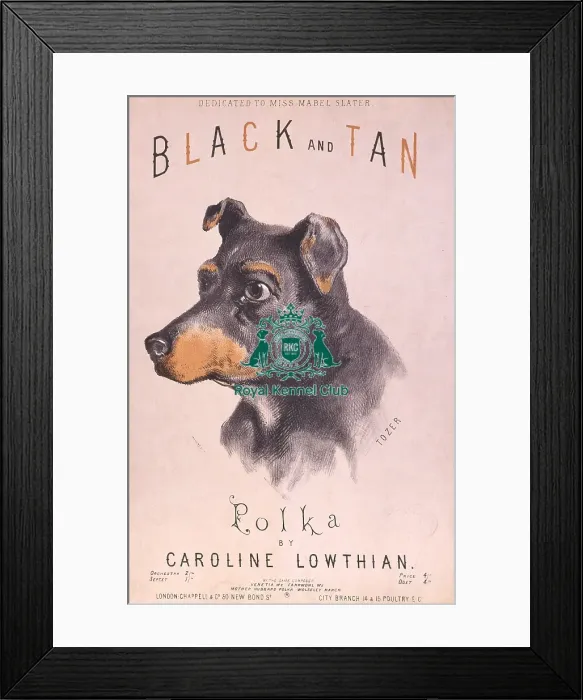 Framed Print : Black and Tan Polka Framed Print : Black and Tan Polka