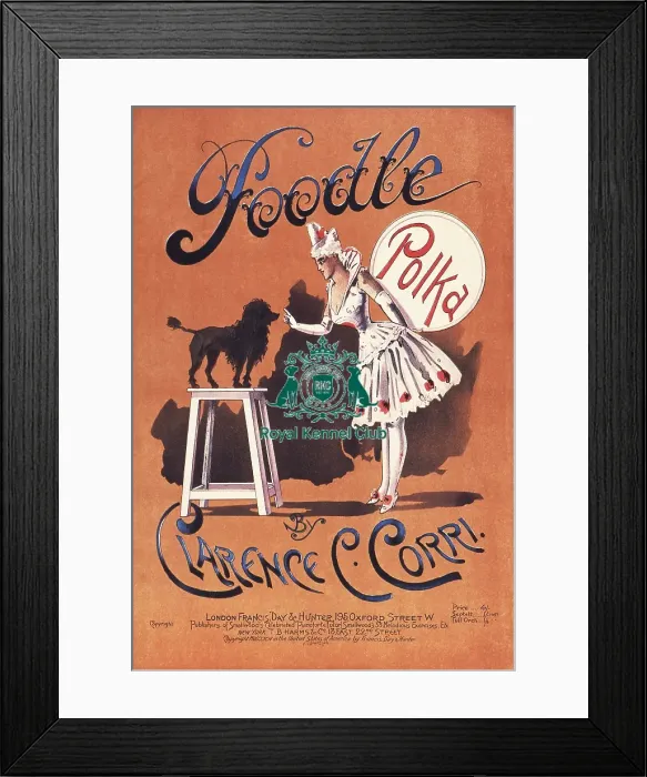 Framed Print : Poodle Polka Framed Print : Poodle Polka