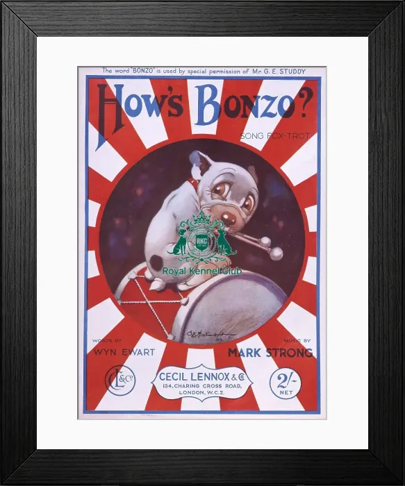 Framed Print : Hows Bonzo? Framed Print : Hows Bonzo?