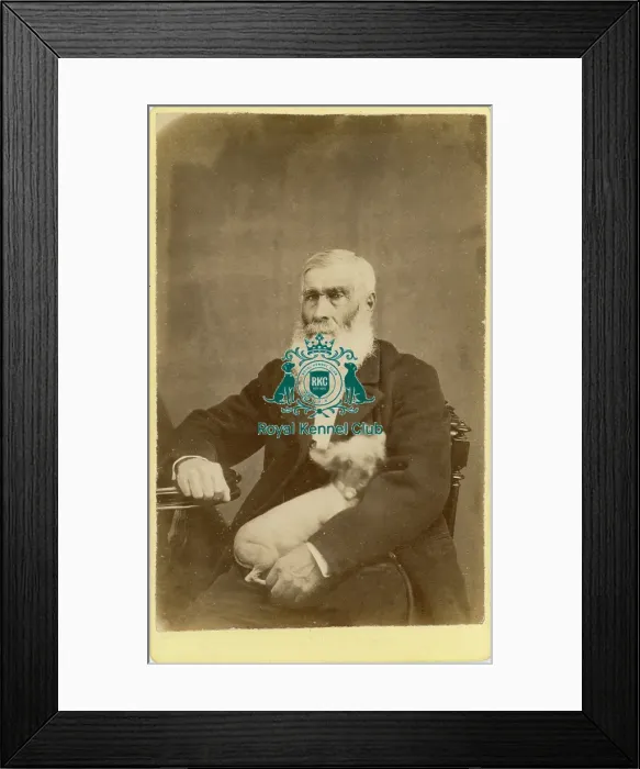 Framed Print : Historical Chinese Crested Framed Print : Historical Chinese Crested