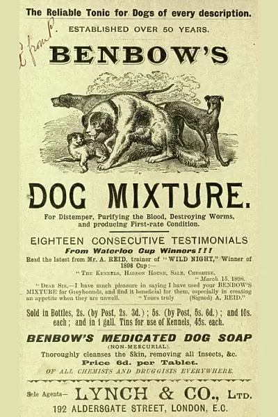 Benbows dog mixture (tonic)