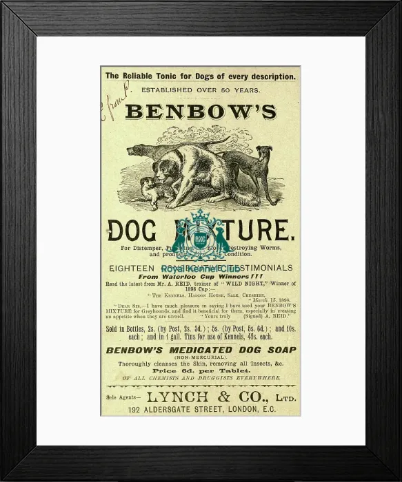 Framed Print : Benbows dog mixture (tonic)