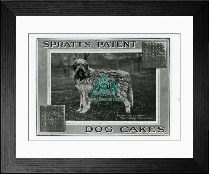 Framed Print : Spratts Patent Dog Cakes