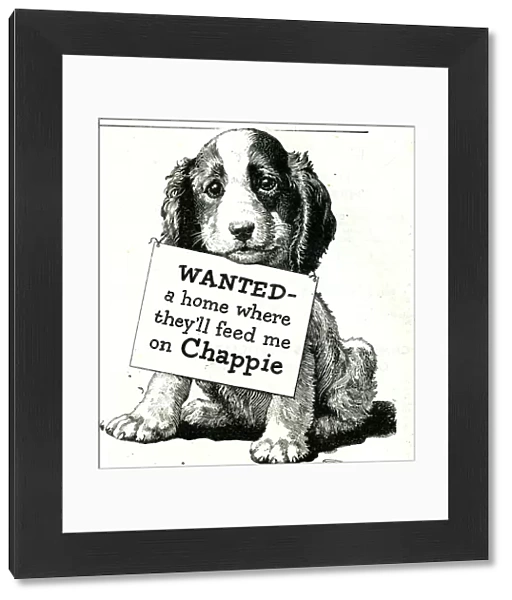 Chappie dog food advert