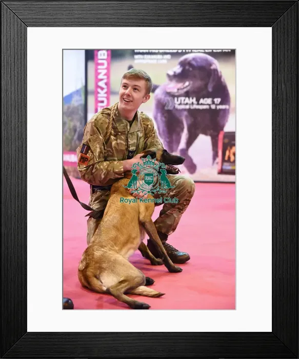 Framed Print : Crufts 2016 Framed Print : Crufts 2016
