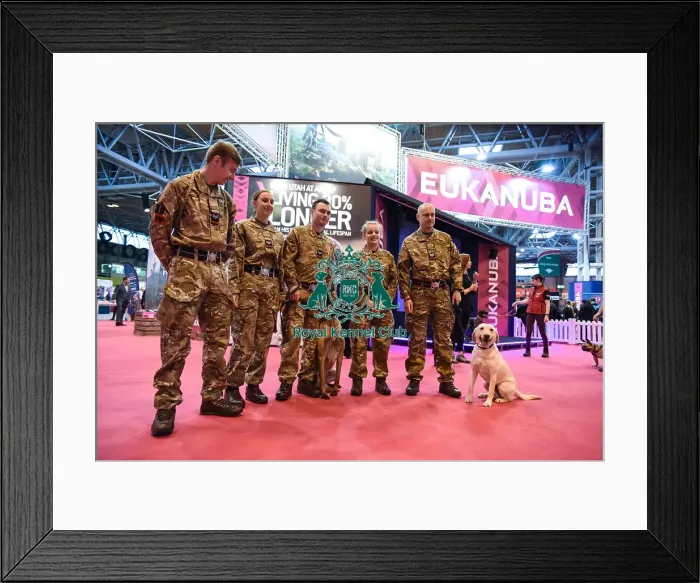 Framed Print : Crufts 2016 Framed Print : Crufts 2016