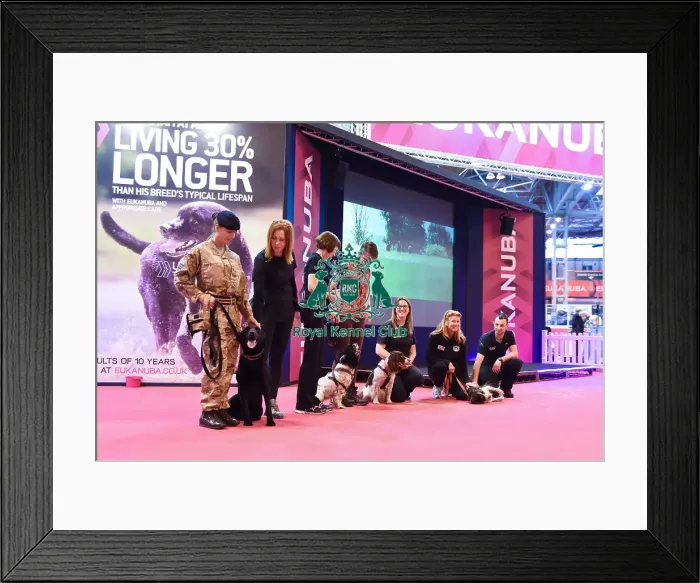 Framed Print : Crufts 2016 Framed Print : Crufts 2016
