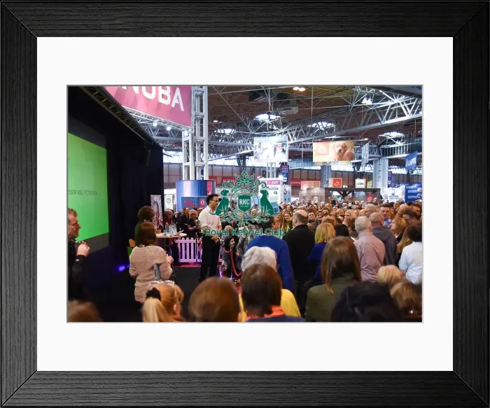 Framed Print : Crufts 2016 Framed Print : Crufts 2016