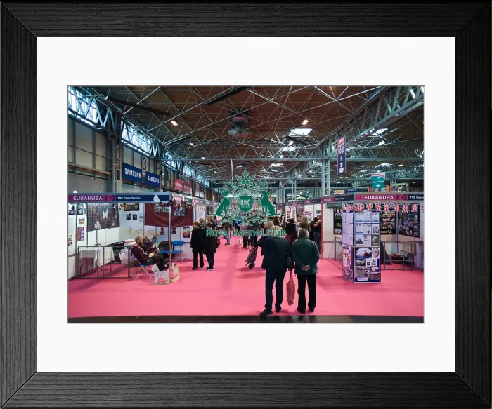 Framed Print : Crufts 2016 Framed Print : Crufts 2016