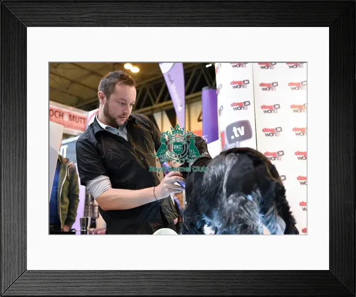 Framed Print : Crufts 2016 Framed Print : Crufts 2016