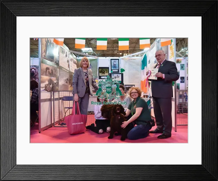 Framed Print : Crufts 2016 Framed Print : Crufts 2016