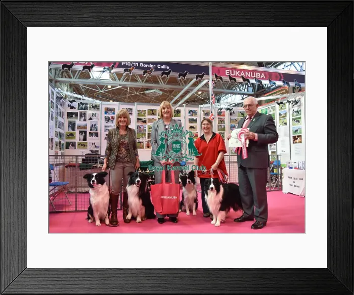 Framed Print : Crufts 2016 Framed Print : Crufts 2016