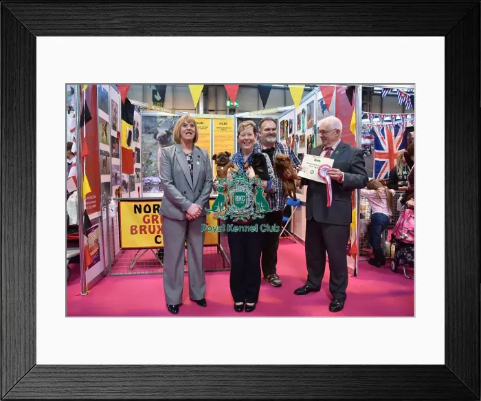 Framed Print : Crufts 2016 Framed Print : Crufts 2016