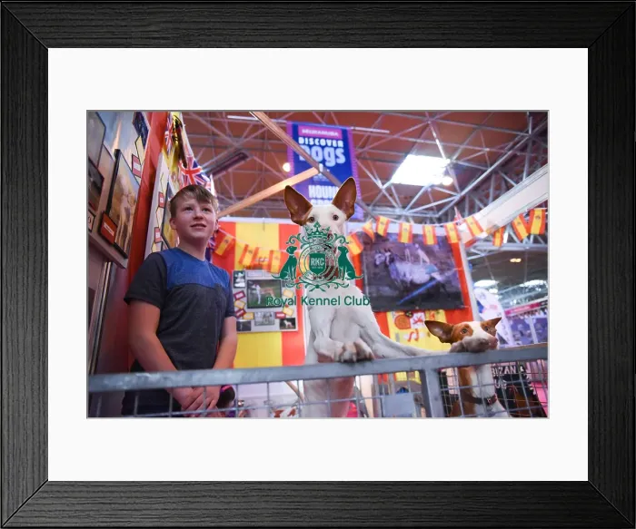Framed Print : Crufts 2016 Framed Print : Crufts 2016