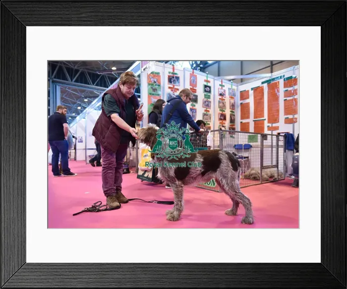 Framed Print : Crufts 2016 Framed Print : Crufts 2016