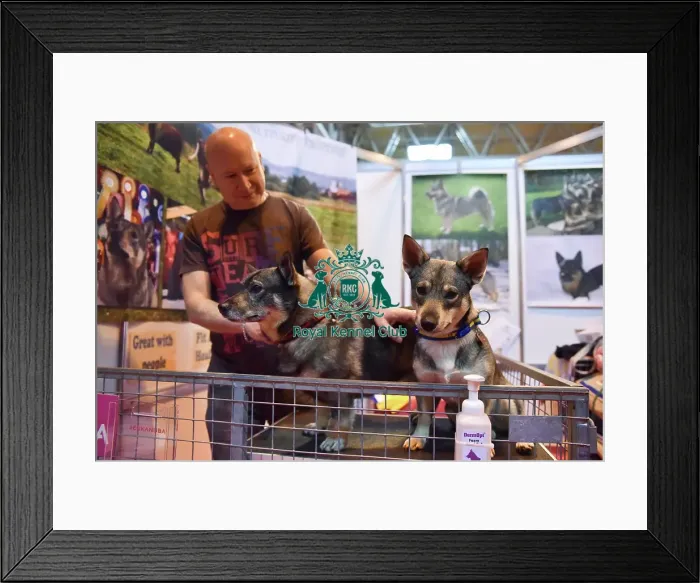 Framed Print : Crufts 2016