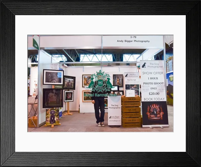 Framed Print : Crufts 2016 Framed Print : Crufts 2016