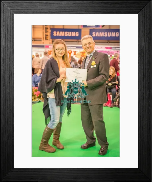 Framed Print : Crufts 2016 Gundog day