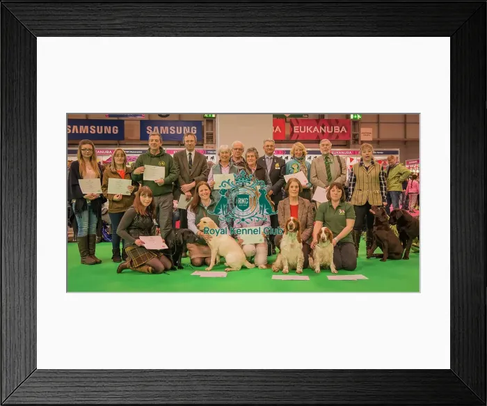 Framed Print : Crufts 2016 Gundog day Framed Print : Crufts 2016 Gundog day