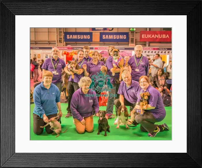 Framed Print : Crufts 2016 Gundog day Framed Print : Crufts 2016 Gundog day