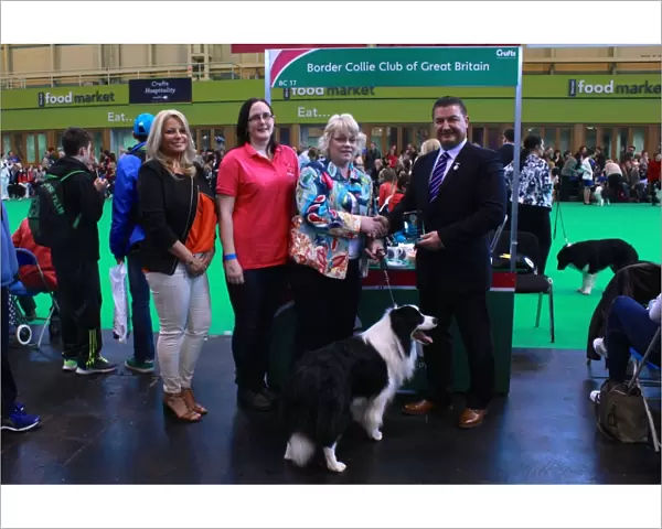 border collie best of breed stand